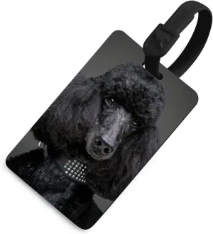 Adorable Black Poodle Luggage Tag Holder Cute Baggage Tags Suitcase Lables for Travel
